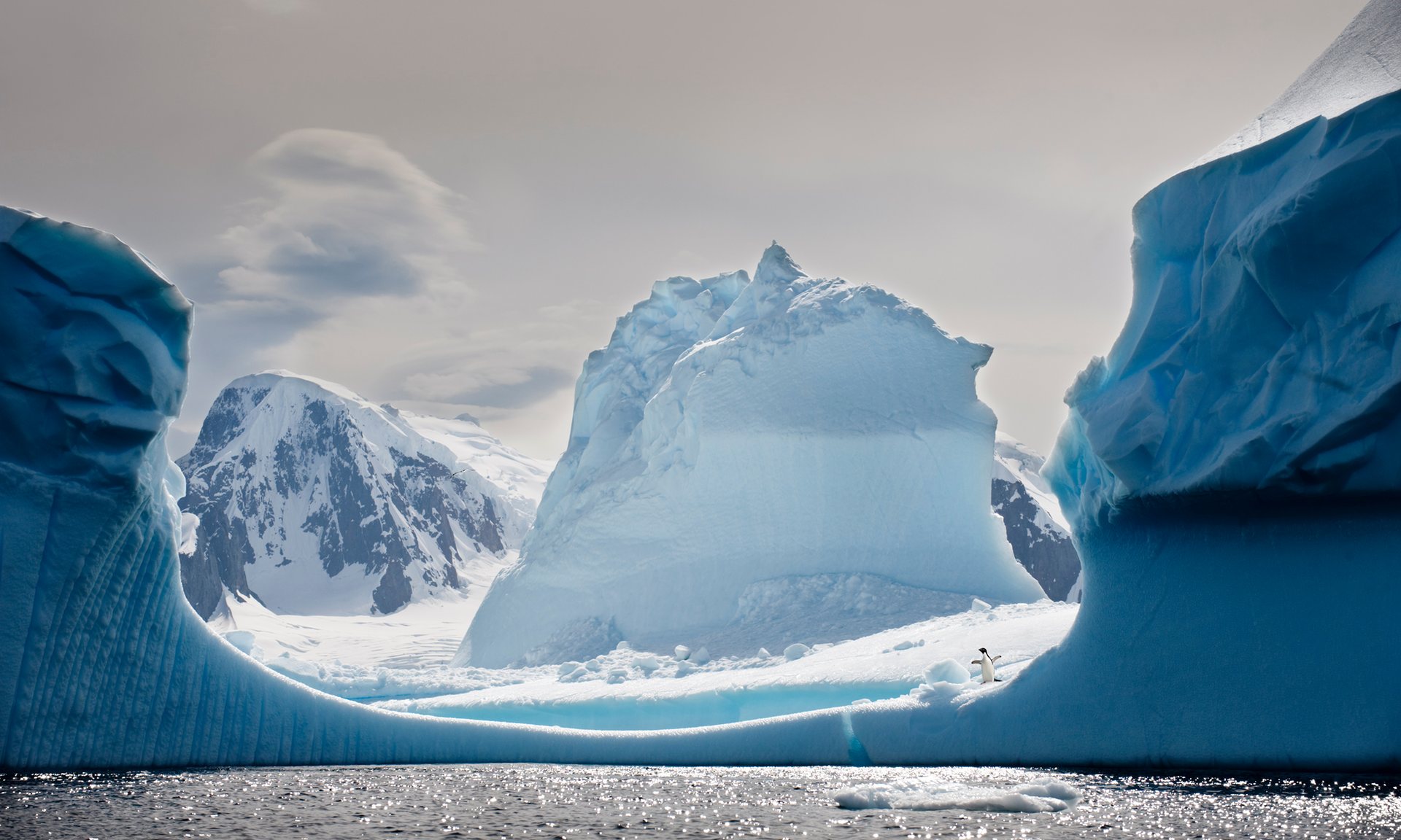 Антарктида доставка. Айсберги Антарктиды. Antarctic Peninsula, Antarctica. Льдины в Антарктиде. Антарктида пейзаж.